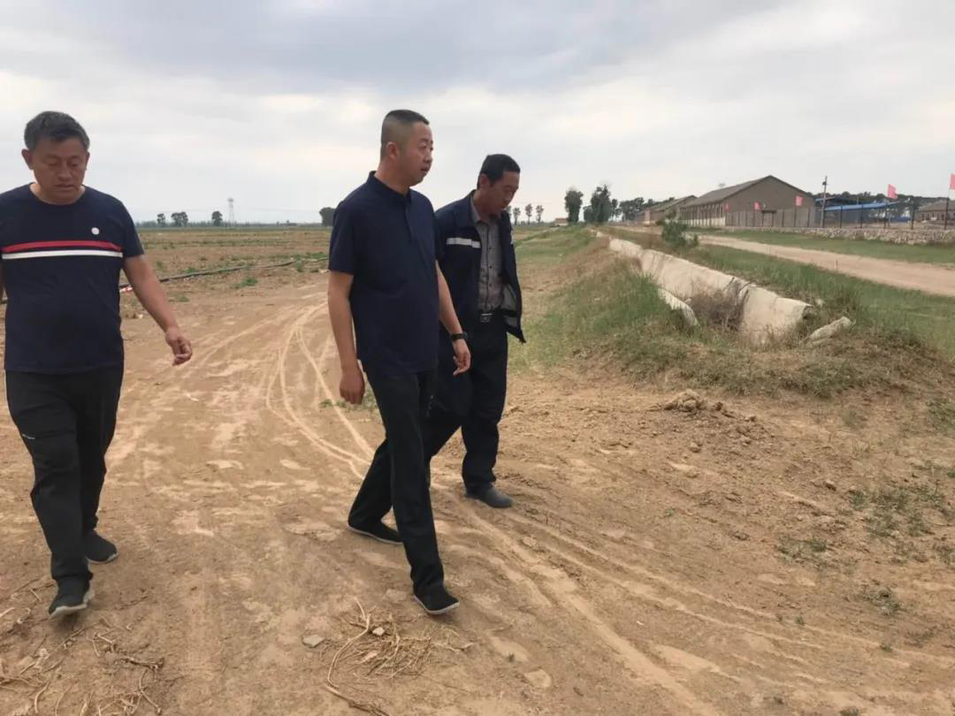 91香蕉视频 全体干部职工聚合力抗旱情